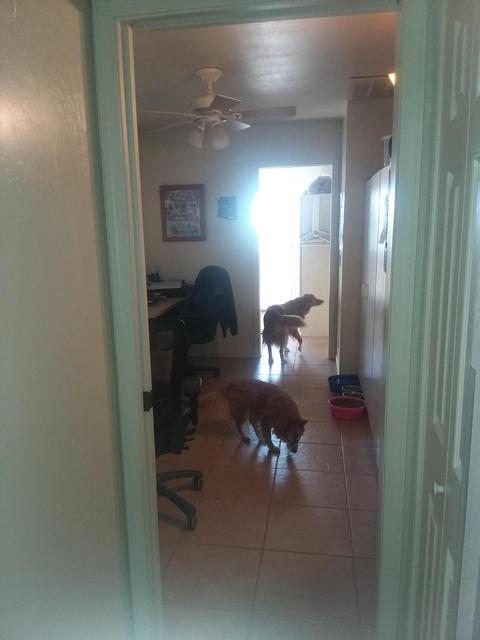 2285 E Junction St, Apache Junction, AZ 85119 photo 17