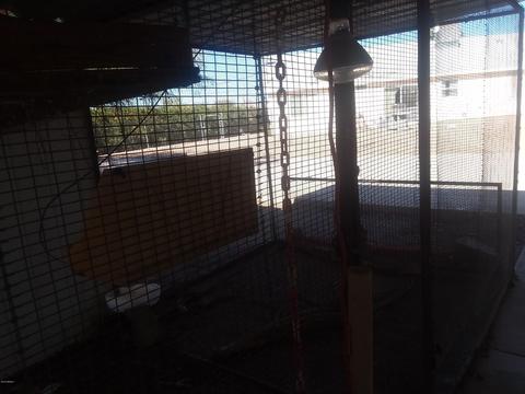 2285 E Junction St, Apache Junction, AZ 85119 photo 42