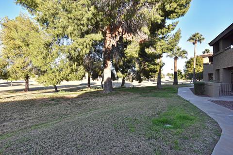 4050 E Cactus Rd #213, Phoenix, AZ 85032 photo 29