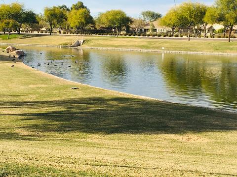 4890 S Twinleaf Dr, Gilbert, AZ 85298 photo 69