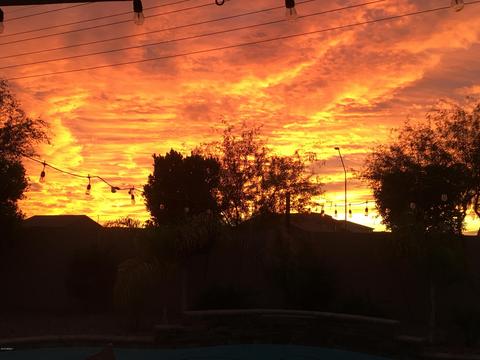4890 S Twinleaf Dr, Gilbert, AZ 85298 photo 57