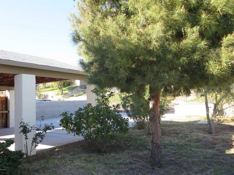 1541 E Sunnyside Dr, Phoenix, AZ 85020 photo 26