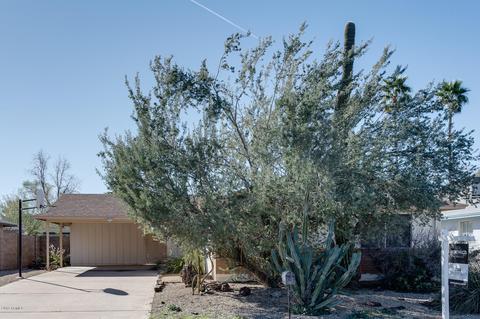 2333 E Paradise Dr, Phoenix, AZ 85028 photo 3