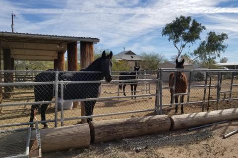 2727 E 10th Ave, Apache Junction, AZ 85119 photo 12