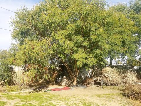 842 S Lawson Dr, Apache Junction, AZ 85120 photo 13