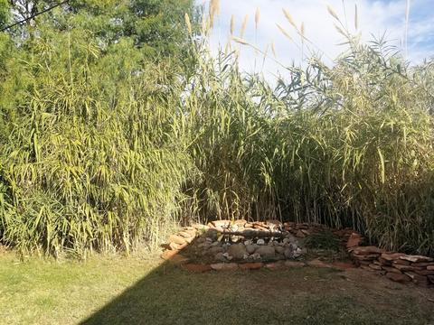 842 S Lawson Dr, Apache Junction, AZ 85120 photo 12