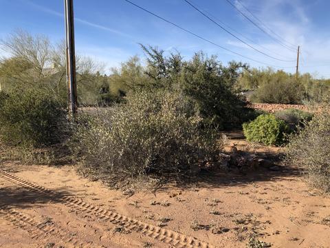 1515 S Prospectors Rd, Apache Junction, AZ 85119 photo 18