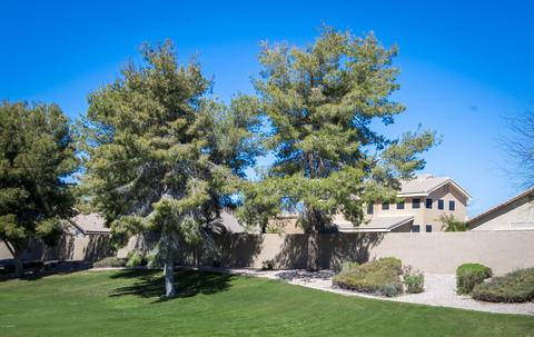 3843 E Kroll Dr, Gilbert, AZ 85234 photo 49