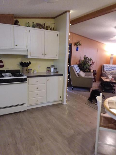 5407 E Alder Ave, Mesa, AZ 85206 photo 17