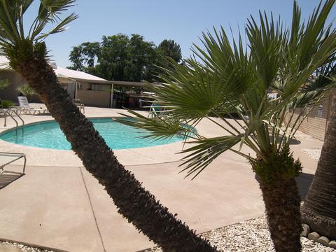 3445 E Kings Ave, Phoenix, AZ 85032 photo 31