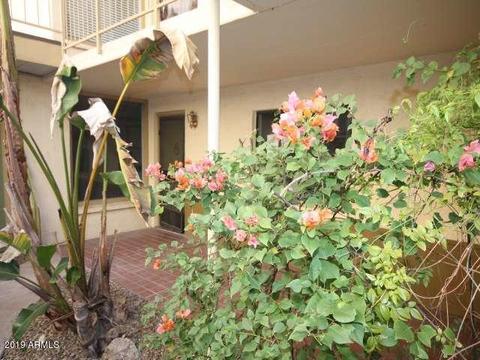 3030 E Clarendon Ave #8, Phoenix, AZ 85016 photo 1
