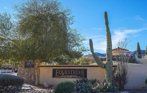 12038 S Tonalea Dr, Phoenix, AZ 85044 photo 7