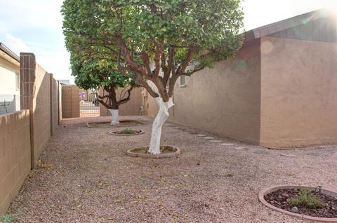 4508 E Delta Ave, Mesa, AZ 85206 photo 12