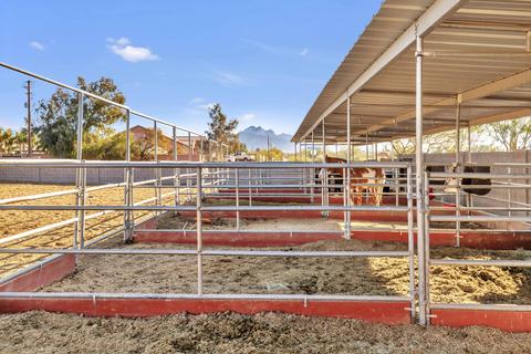 10733 E Fenimore Rd, Mesa, AZ 85207 photo 59