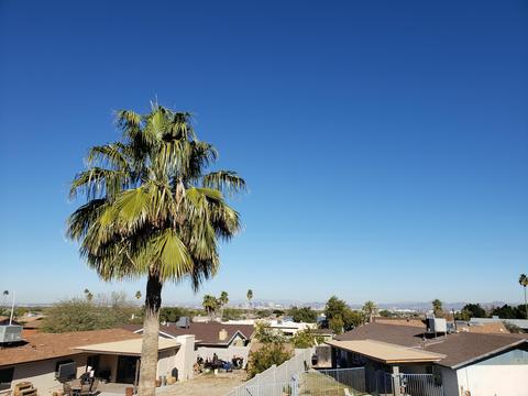 1824 E Desert Dr, Phoenix, AZ 85042 photo 23