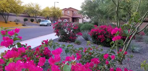 2209 E Flandreau Rd, Phoenix, AZ 85024 photo 37