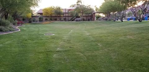 2209 E Flandreau Rd, Phoenix, AZ 85024 photo 36