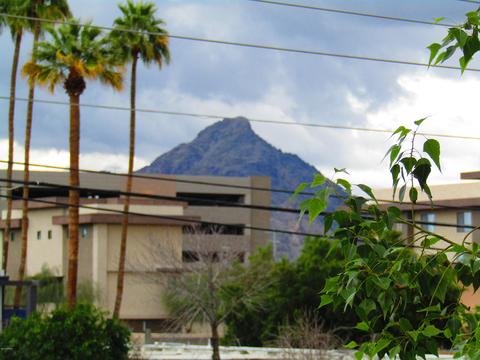 1449 E Highland Ave #2, Phoenix, AZ 85014 photo 15
