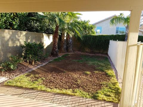 3439 E Utopia Rd, Phoenix, AZ 85050 photo 15