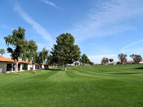 8247 E Navarro Ave, Mesa, AZ 85209 photo 32