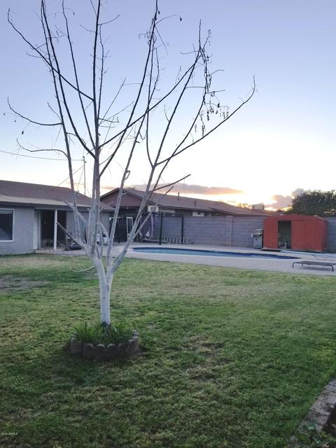 2344 E Laird St, Tempe, AZ 85281 photo 5