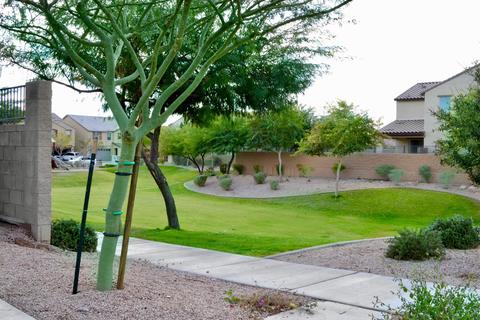 10857 E Calypso Ave, Mesa, AZ 85208 photo 46