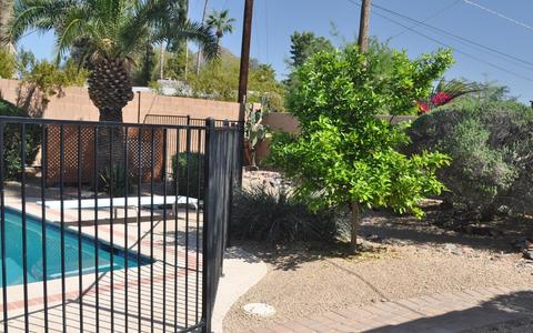4010 E San Juan Ave, Phoenix, AZ 85018 photo 26