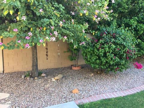 2031 E Beautiful Ln, Phoenix, AZ 85042 photo 17