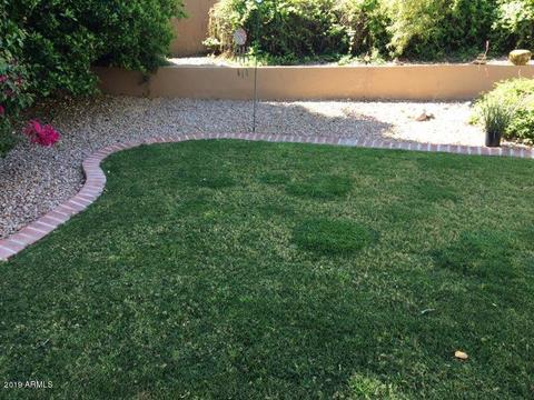 2031 E Beautiful Ln, Phoenix, AZ 85042 photo 18