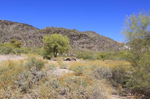 2901 E Voltaire Ave, Phoenix, AZ 85032 photo 28