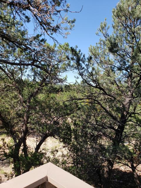 3515 Pine Rim Dr, Overgaard, AZ 85933 photo 7