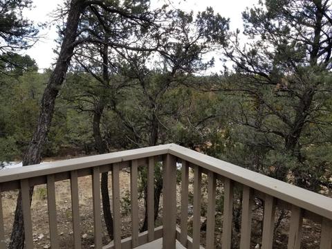 3515 Pine Rim Dr, Overgaard, AZ 85933 photo 5