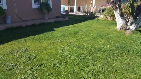 5532 N 34th Dr N, Phoenix, AZ 85017 photo 9