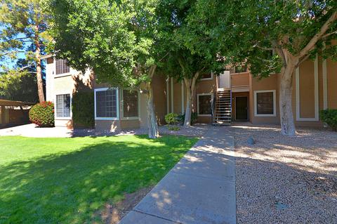 5230 E Brown Rd #111, Mesa, AZ 85205 photo 2