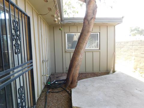 2014 W Highland Ave, Phoenix, AZ 85015 photo 17