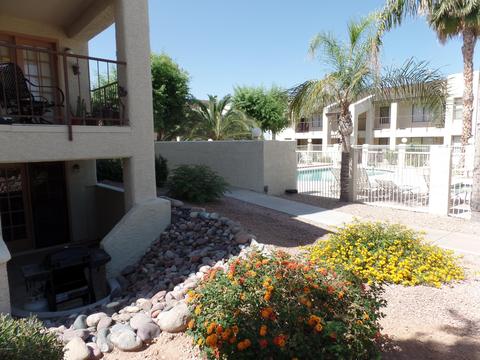 5518 E Lindstrom Ln #1013, Mesa, AZ 85215 photo 10