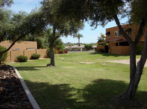 715 E Cochise Dr, Phoenix, AZ 85020 photo 12