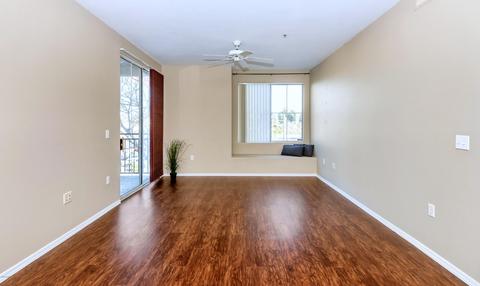 909 E Camelback Rd #3005, Phoenix, AZ 85014 photo 4