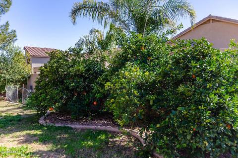 9547 E Monte Ave, Mesa, AZ 85209 photo 25