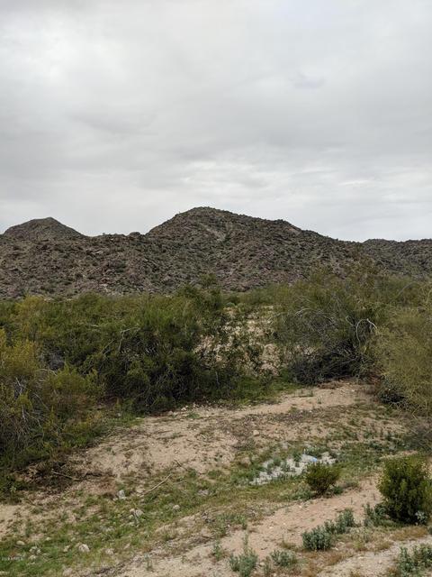 4020 E Jicarilla St, Phoenix, AZ 85044 photo 3