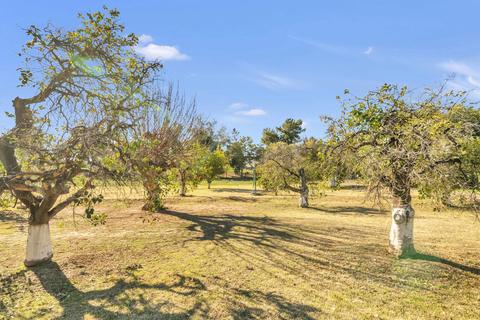 3840 E Vineyard Rd, Phoenix, AZ 85042 photo 41