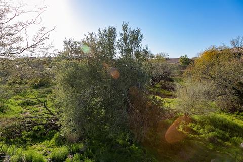 3139 W Honor Ct, Anthem, AZ 85086 photo 38