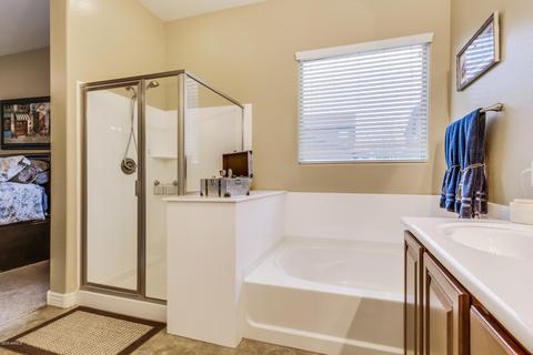 4044 E Morrison Ranch Pkwy, Gilbert, AZ 85296 photo 16