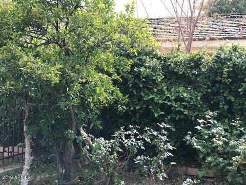 215 E Helena Dr, Phoenix, AZ 85022 photo 33