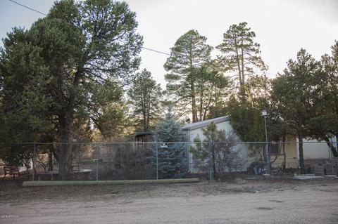 2066 Grey Squirrel Trl, Overgaard, AZ 85933 photo 15