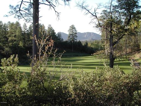 525 N Grapevine Dr, Payson, AZ 85541 photo 17