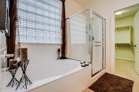7355 E Nance St, Mesa, AZ 85207 photo 37