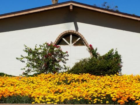 1878 E Watson Dr, Tempe, AZ 85283 photo 3
