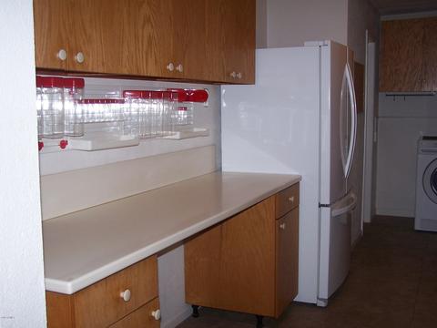 3446 E Coronado Rd, Phoenix, AZ 85008 photo 19