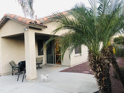 3670 E Flower St, Gilbert, AZ 85298 photo 17